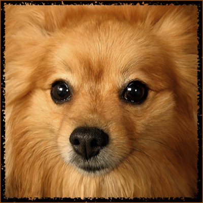 Lacey 6 yrs_2049.jpg