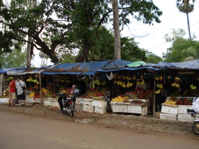 DSC01005.JPG