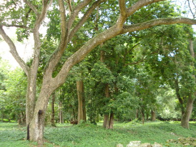 DSC00925.JPG