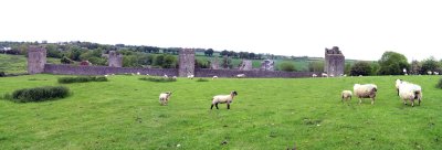 Kells Priory - Kilree Monastic Site