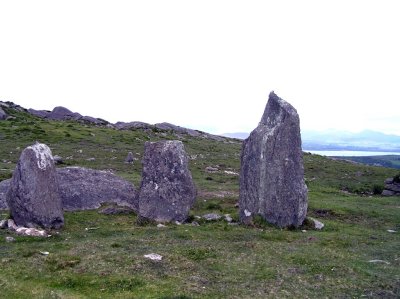 a few yards further up is Cashelkeelty Stone Row
