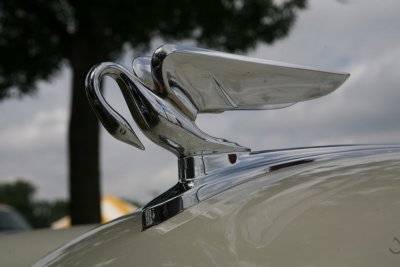 IMG_6847.JPG