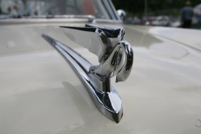 IMG_6848.JPG