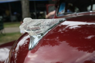 IMG_6850.JPG