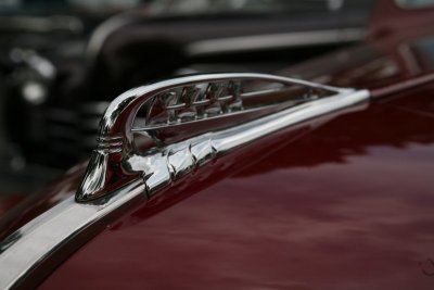 IMG_6853.JPG
