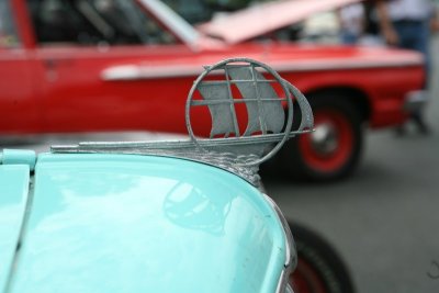 IMG_6873.JPG