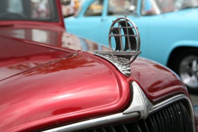 IMG_6893.JPG