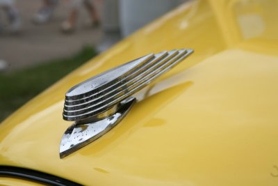 IMG_6945.JPG