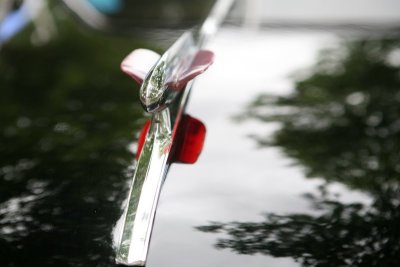 IMG_6949.JPG