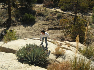 Arturo climbing up the rocks