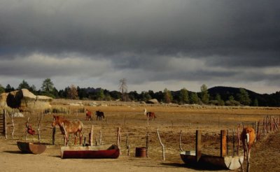 A Christmas Ride at El Topo