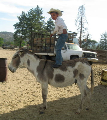 Practice his trick riding