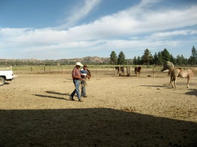 Cowboys on the ranch