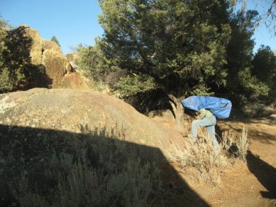IMG_2976.jpg