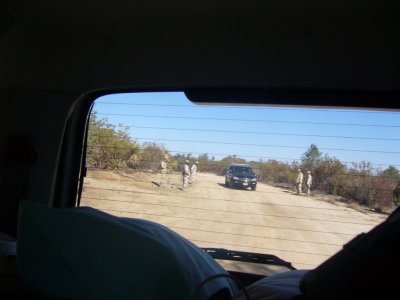 Mexican Fedaralis