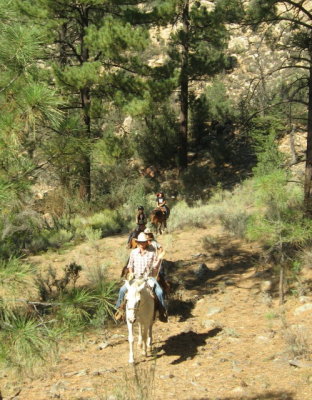 Lora leading on Paloma