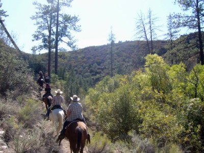 On the trail
