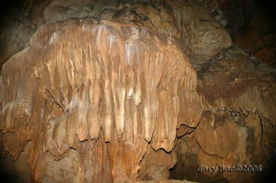 IMG_6753.jpg
