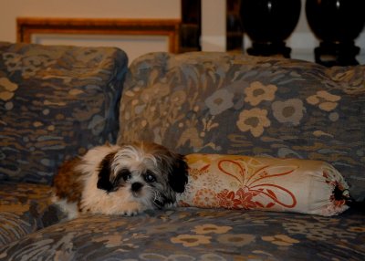 night_at_cindy's 9.jpg
