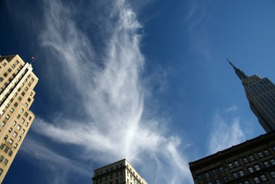 IMG_0809.jpg