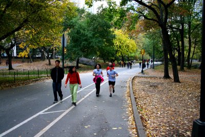 Fall in New York