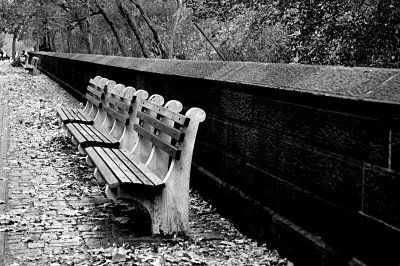 benches along central park west