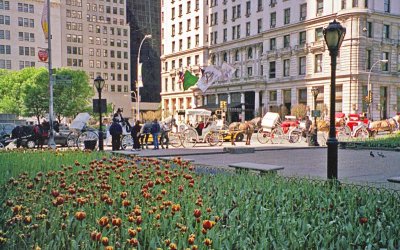 springtime at the plaza