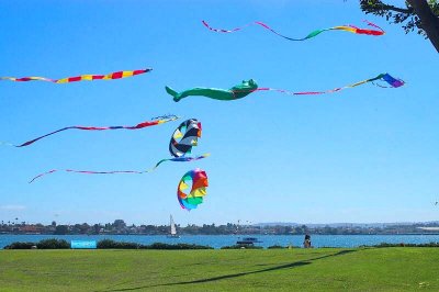 kite flying at waterfront park
