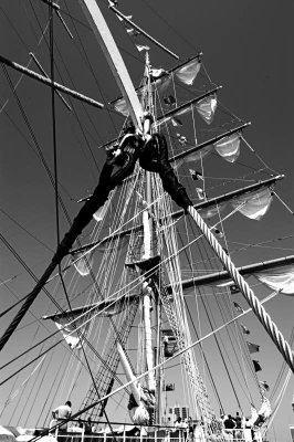 up in the rigging