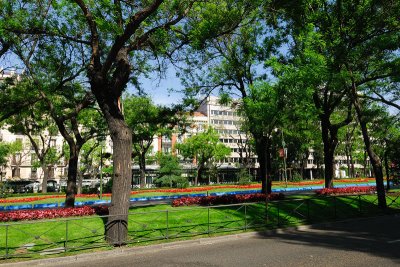 flowers on the paseo del prado