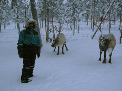 Cyn with reindeer