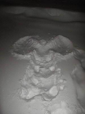 A Snow Angel!