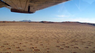 Looking down at fairy circles, Namib desert