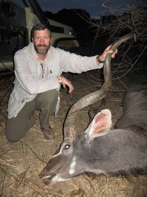 The kudu that the lions killed
