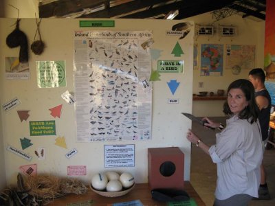 Sprucing up the classroom for the Environmental Education Centre