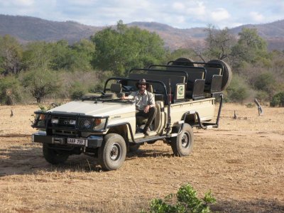 A typical safari jeep