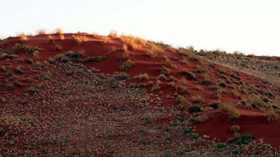 Morning sunlight on the dunes