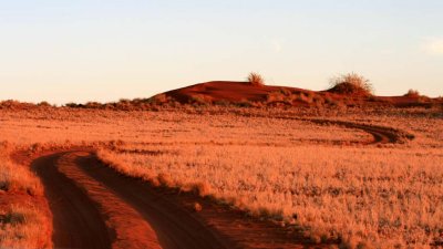 Off for a safari drive in the Namib desert