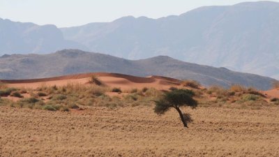 Dunes with mountains behind