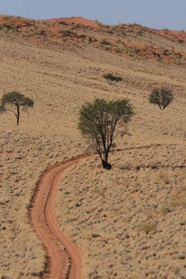 Our winding track through the grass and dunes