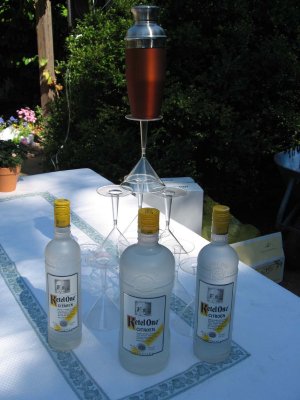 Drinks table (for serving lemon drops)
