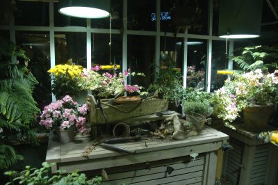 Butterfly Garden at Bellagio