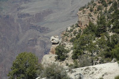 South Rim
