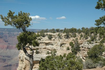 South Rim