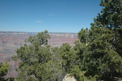 South Rim
