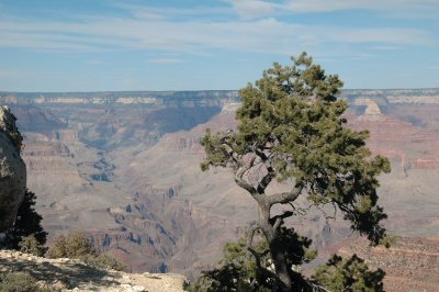 South Rim