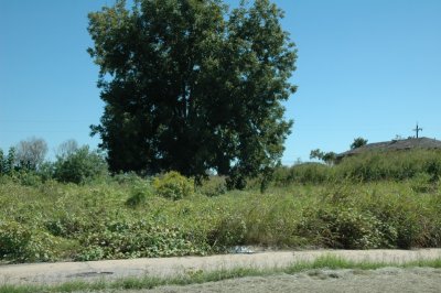 Lower 9th Ward