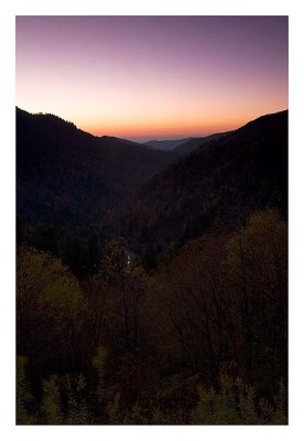 Near Newfound Gap