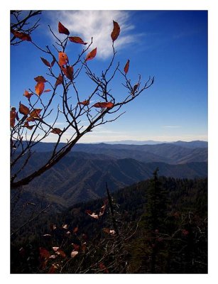 Fall foliage looking towards North Carolina