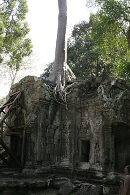 Ta Prohm